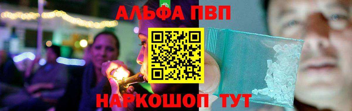 Альфа ПВП СК КРИС Моздок