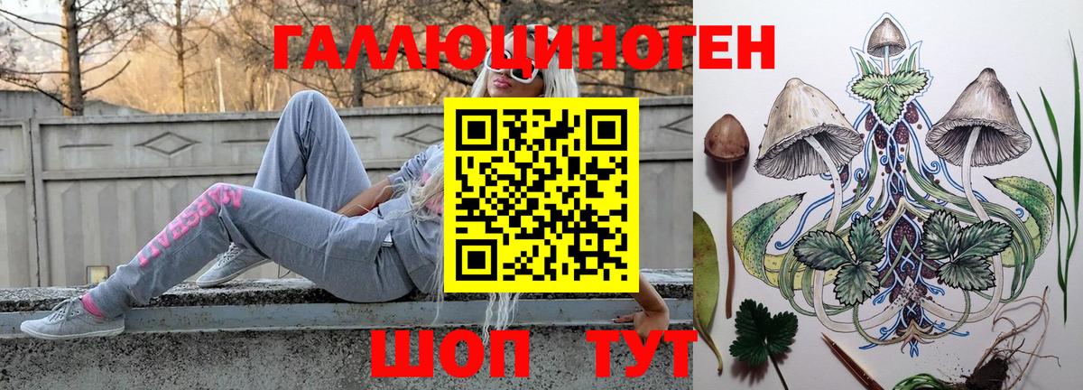 Моздок  Псилоцибиновые грибы мухоморы  Вход с VPN 